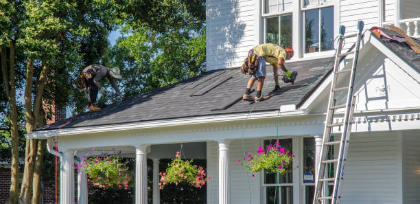 Best Metal Roofing Contractor  in Neillsville, WI